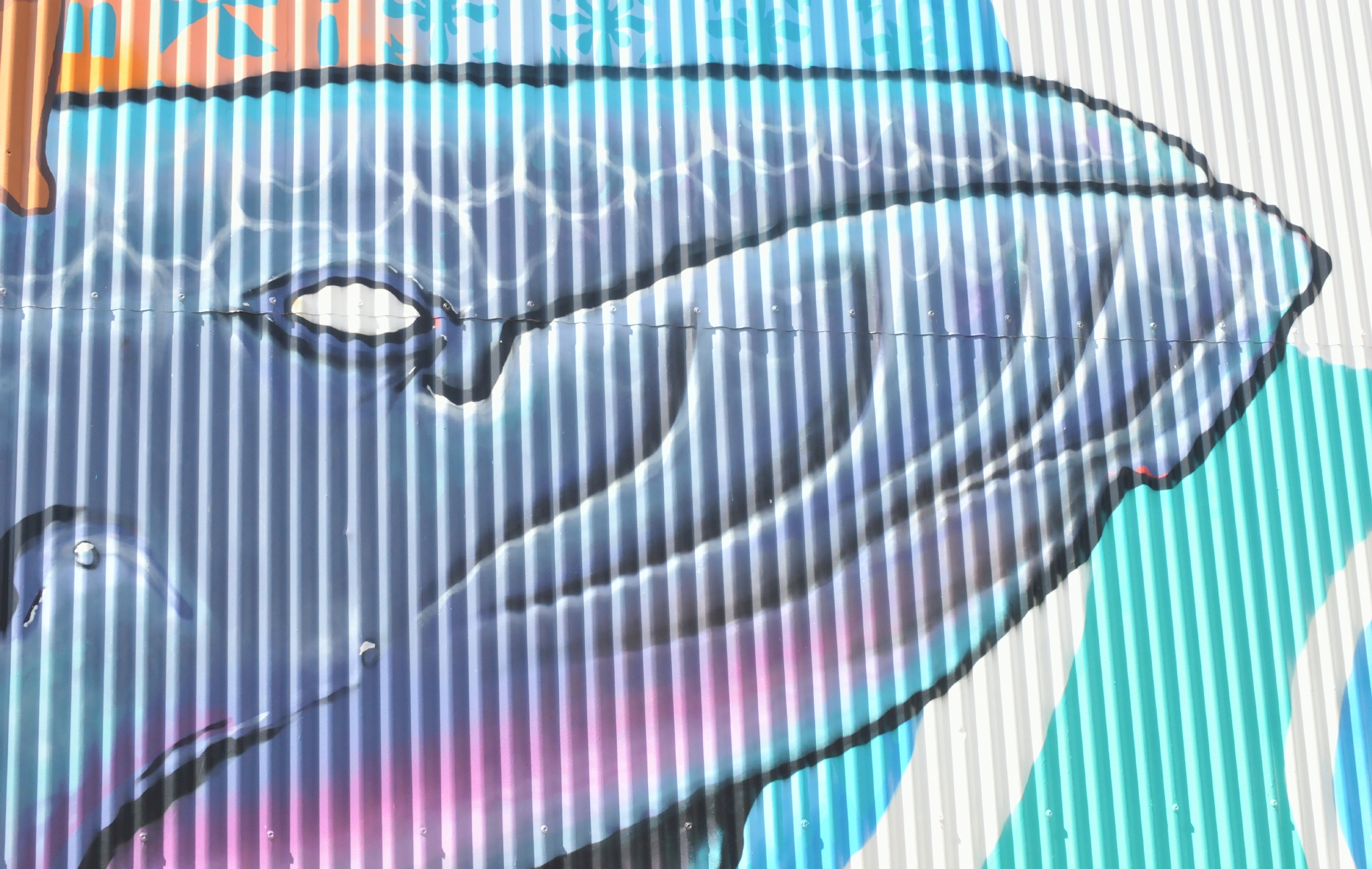 ./Girl_on_Whale_Mural_by_Alise_and_Jack_Eastgate_20180601_101656_C18_6744.jpg