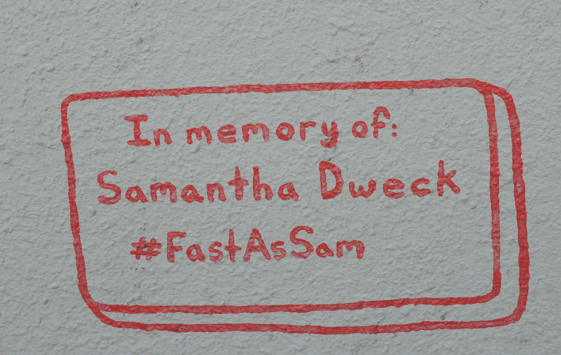 ./Samatha_Dweck_Mural_artist_Amos_Goldbaum_San_Fancisco_20181017_115220_C18_7864.jpg