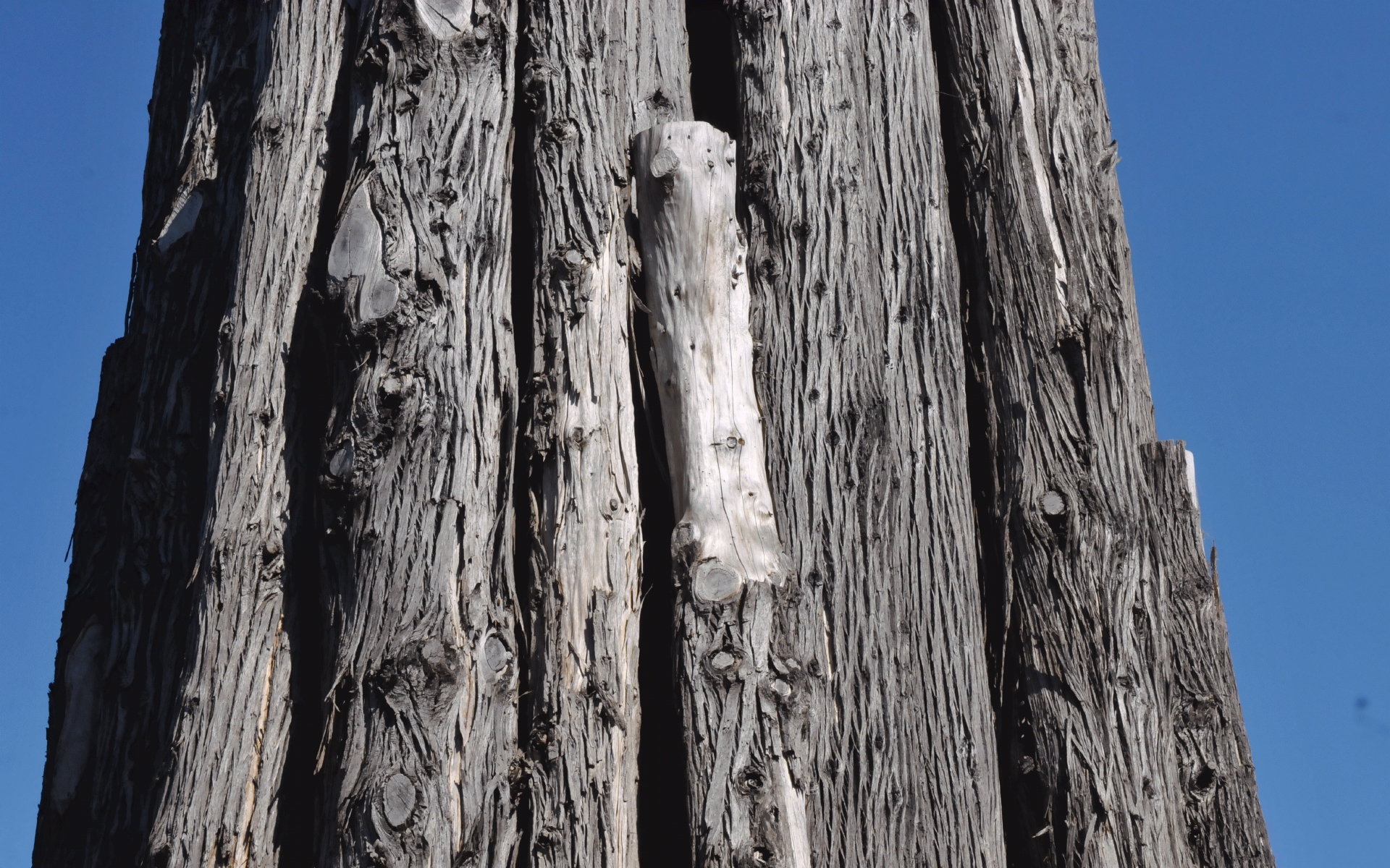 ./Spire_by_Andy_Goldsworthy_in_Presidio_San_Francisco_20191012_112905_C19_4078.jpg