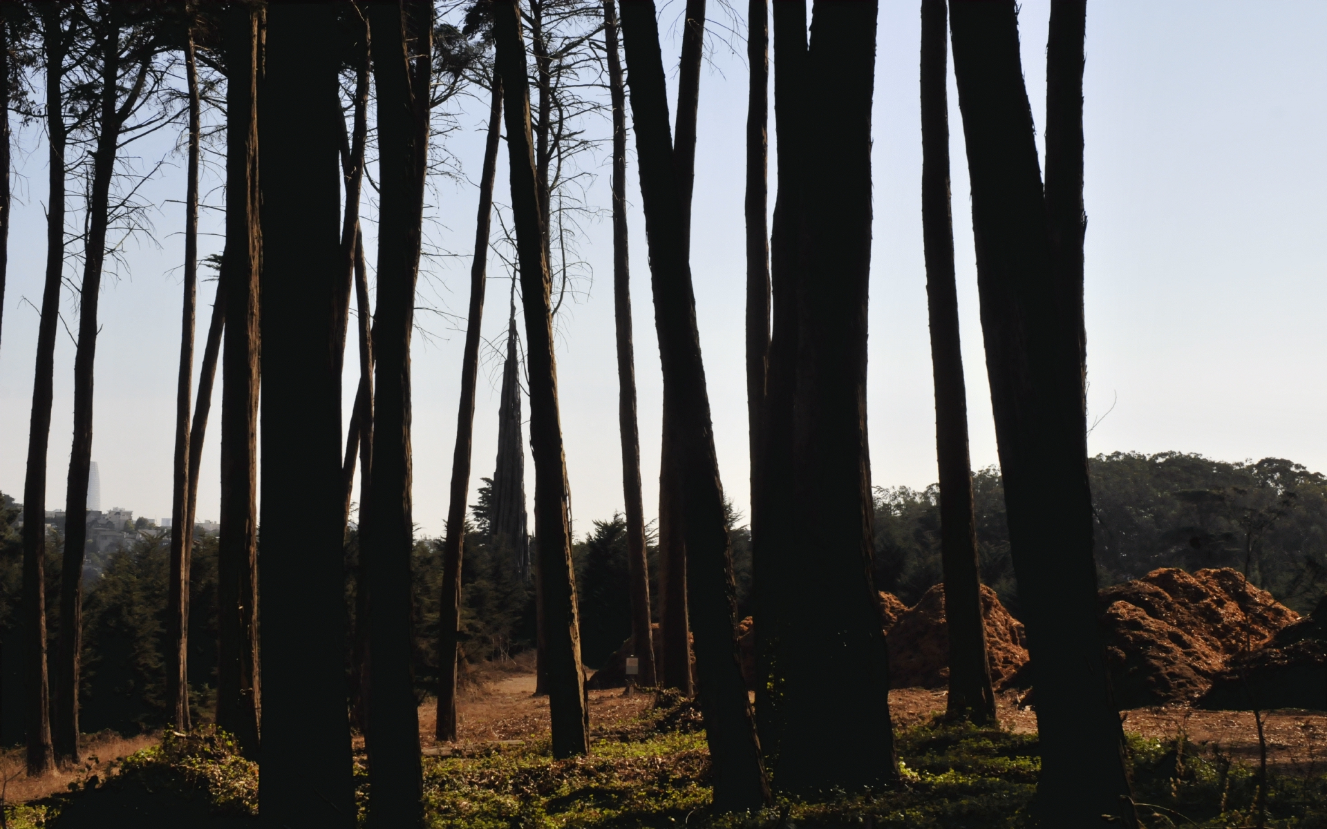 ./Spire_by_Andy_Goldsworthy_in_Presidio_San_Francisco_20191012_113321_C19_4089.jpg