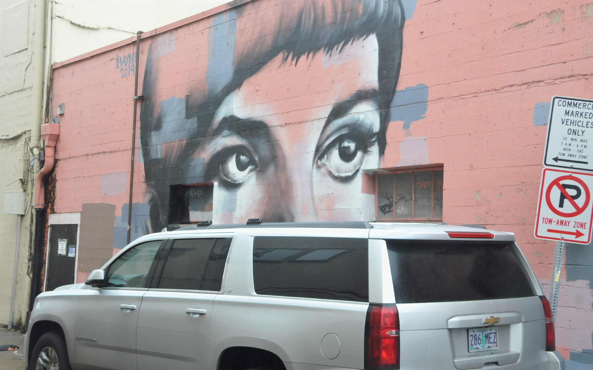 ./Face_Mural_by_Bayne_Gardner_20211026_131020_C21_1183.jpg