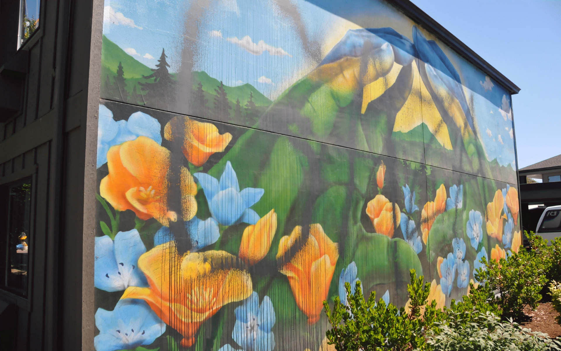 ./Flower_Hands_Mural_2022_20240628_110530_C24_0236.jpg