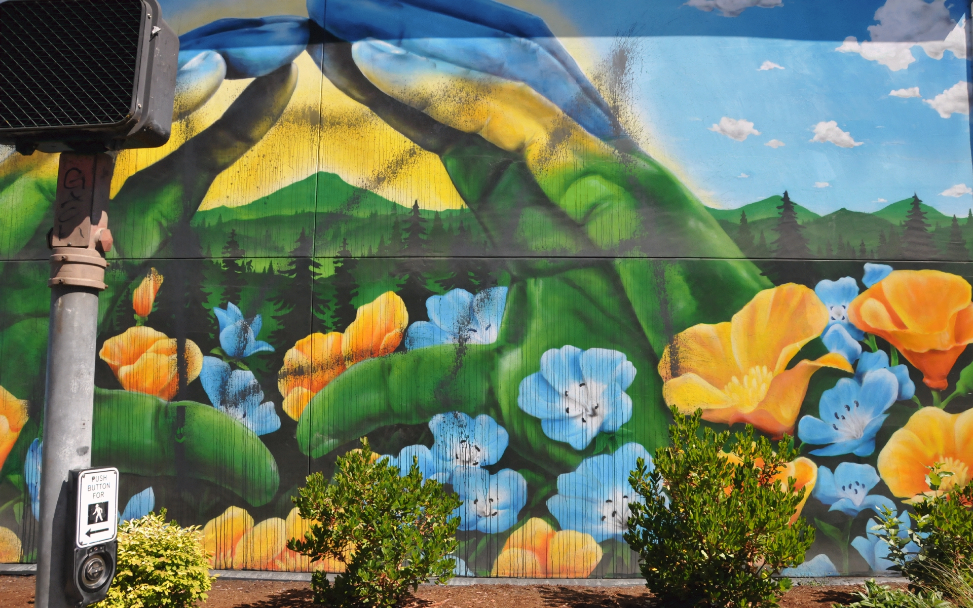 ./Flower_Hands_Mural_2022_20240628_1105346_C24_0239.jpg