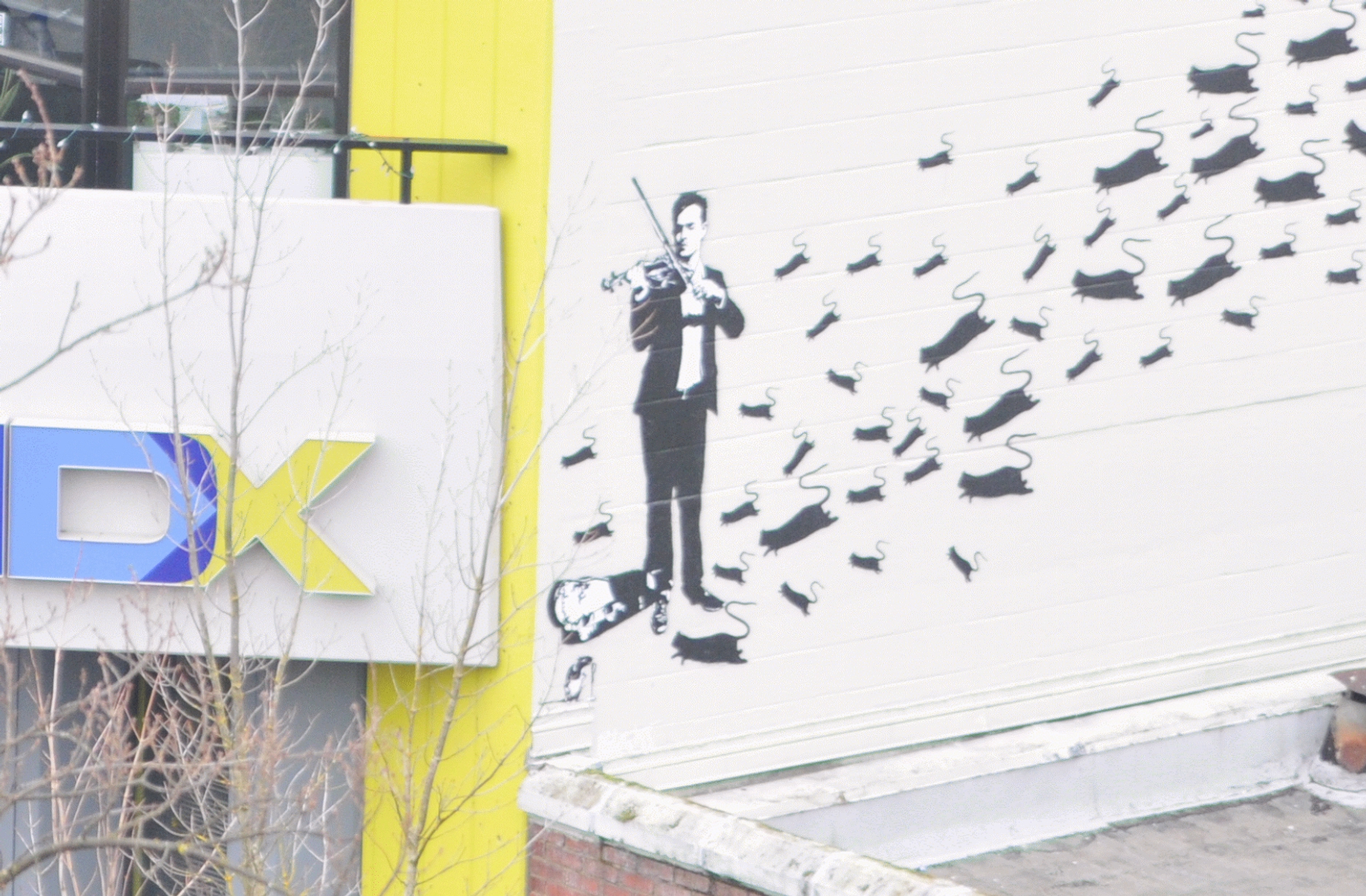 ./Blek_Le_Rat_Mural_Eugene_Oregon_20180108_140350_C18_0005.jpg