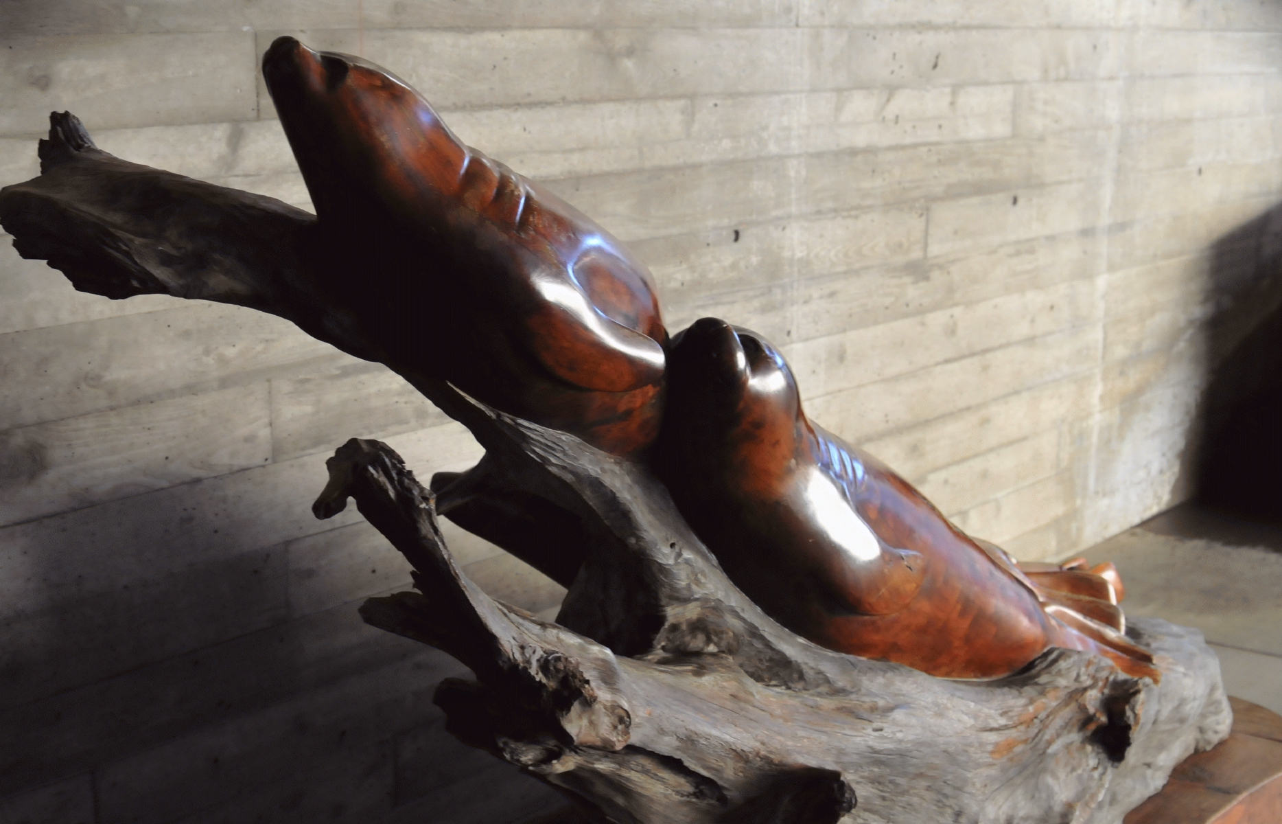 ./Wood_Sculpture_by_Brian_McEneny_Newport_Aquarium_20160102_115110_C16_5917.jpg