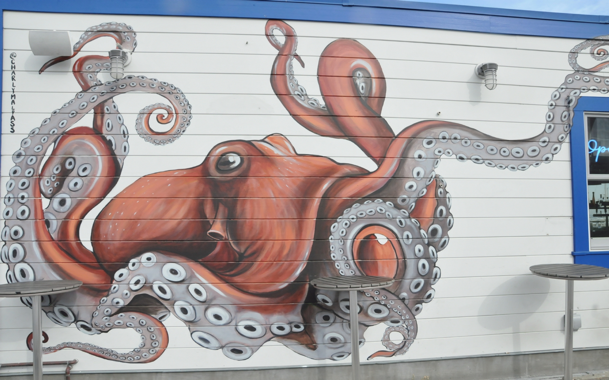 ./Octopus_Mural_by_Charly_Malpass_20221028_144349_C22_2370.jpg