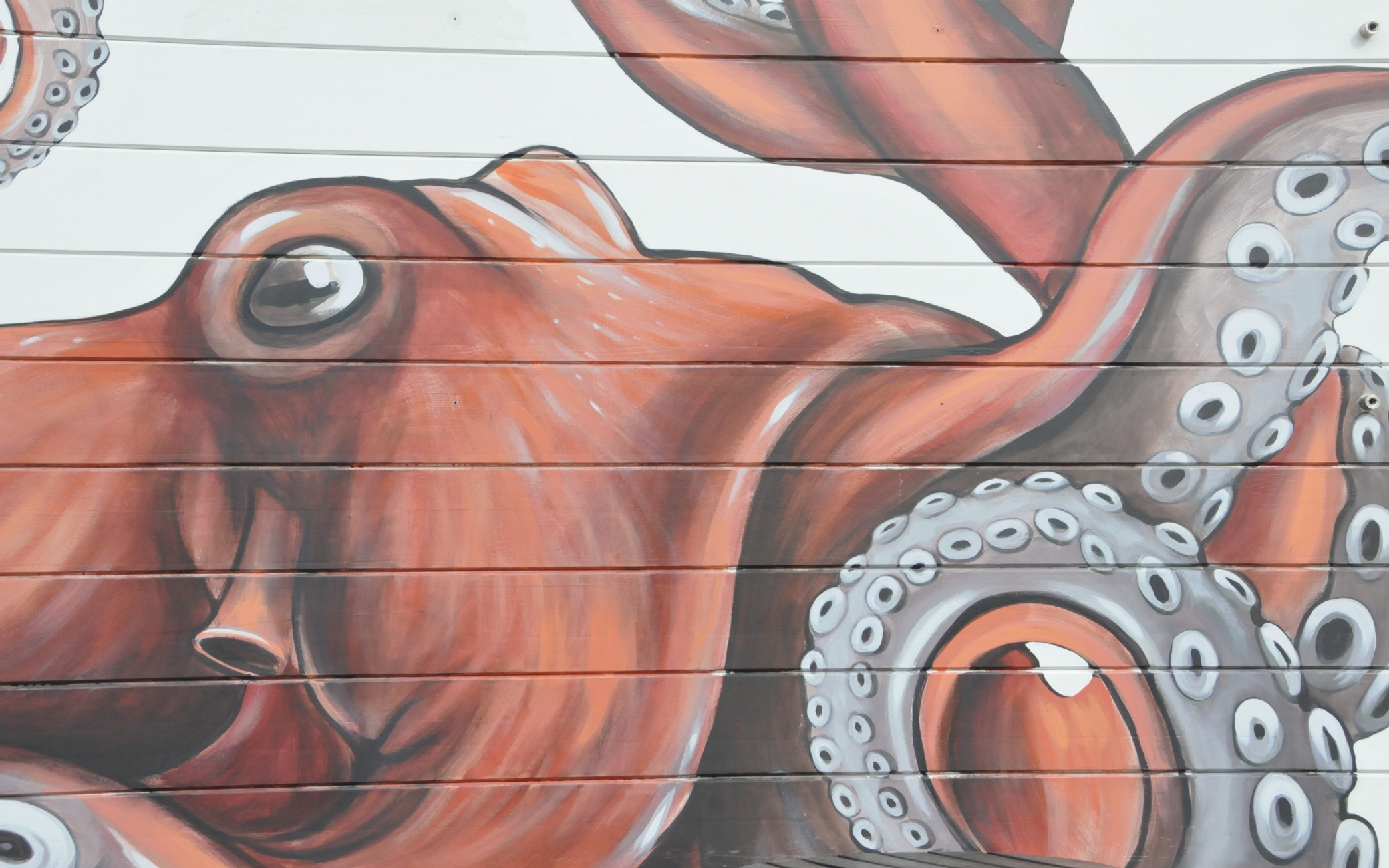 ./Octopus_Mural_by_Charly_Malpass_20221028_144356_C22_2372.jpg