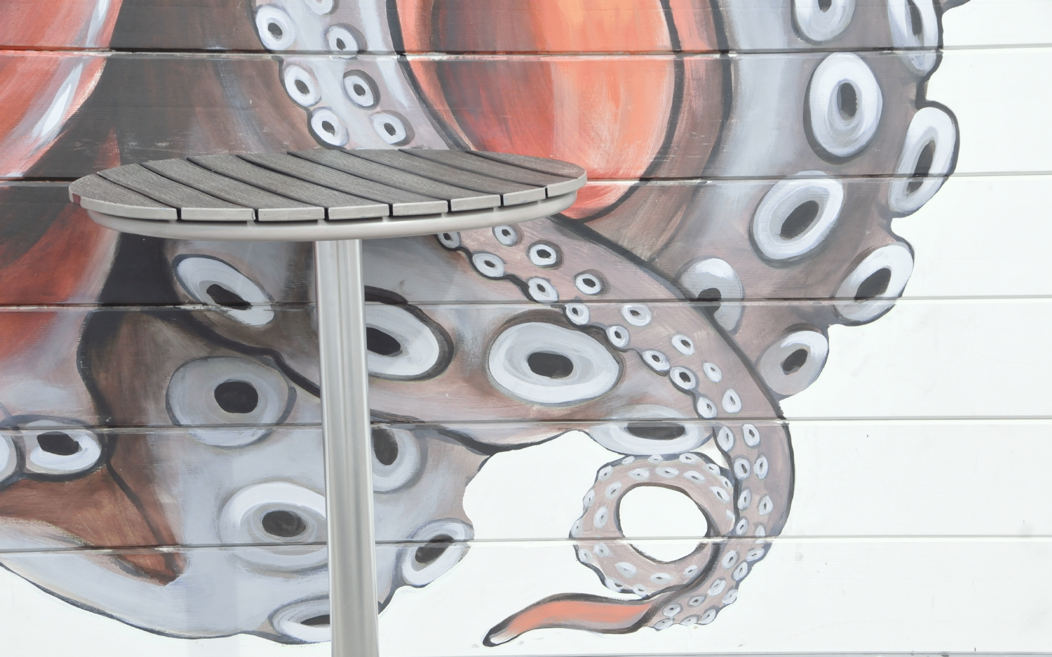 ./Octopus_Mural_by_Charly_Malpass_20221028_144403_C22_2374.jpg