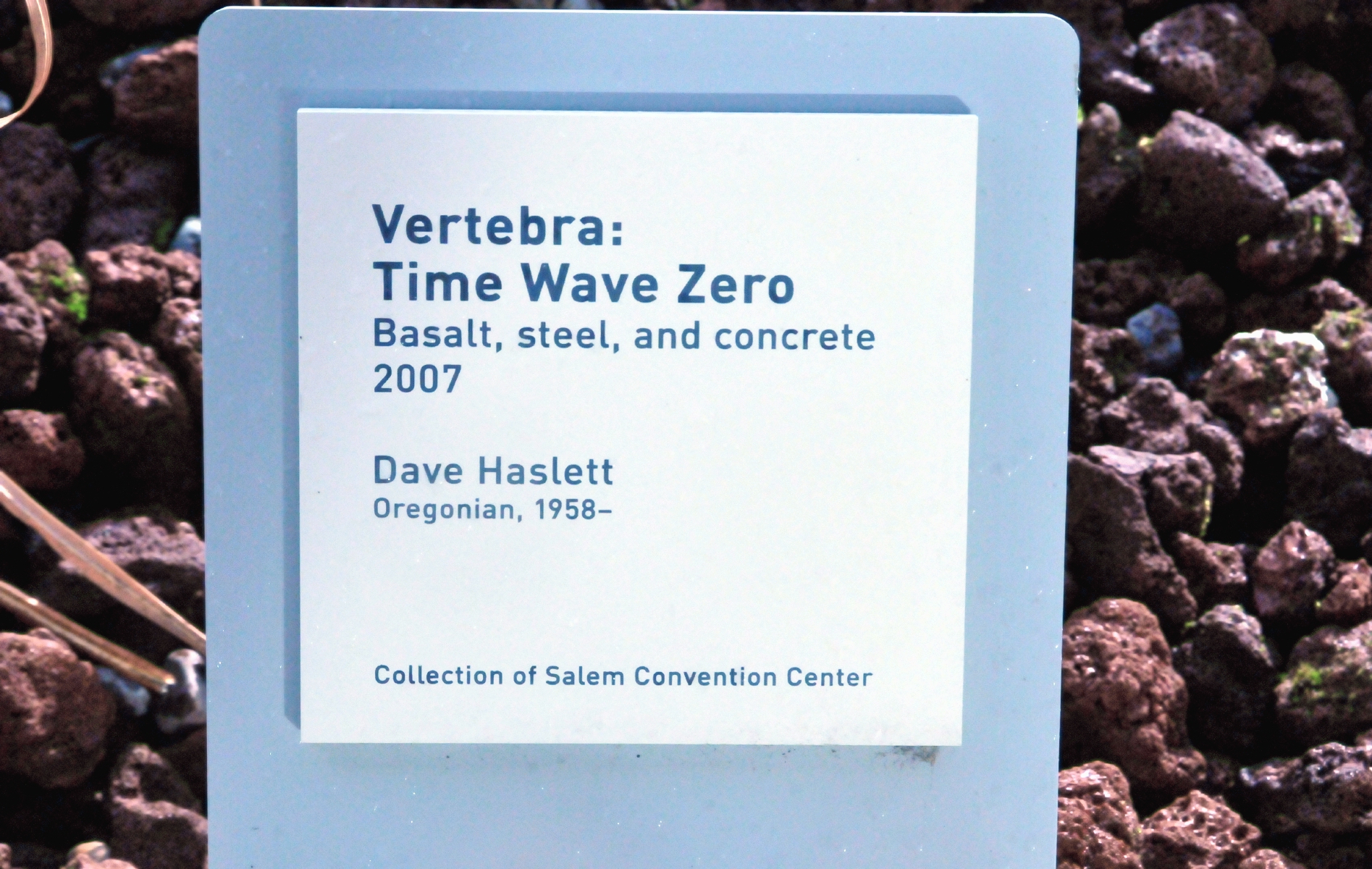 ./Vertebra_Time_Wave_Zero_by_Dave_Haslett_20151108_145959_C15_5092.jpg