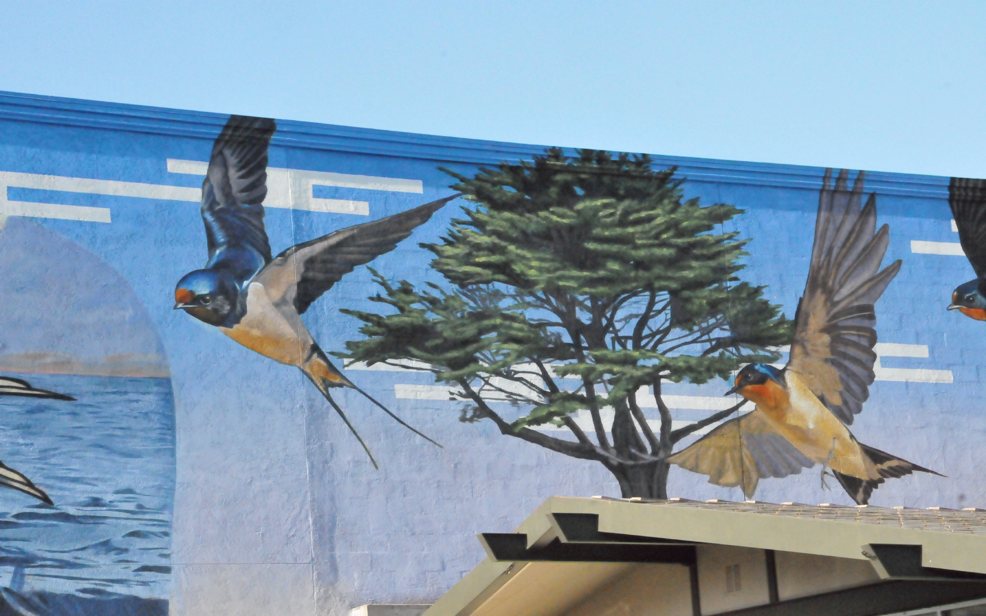 ./Homeward_Mural_Alameda_Isalnd_20220804_083026_C22_1437.jpg