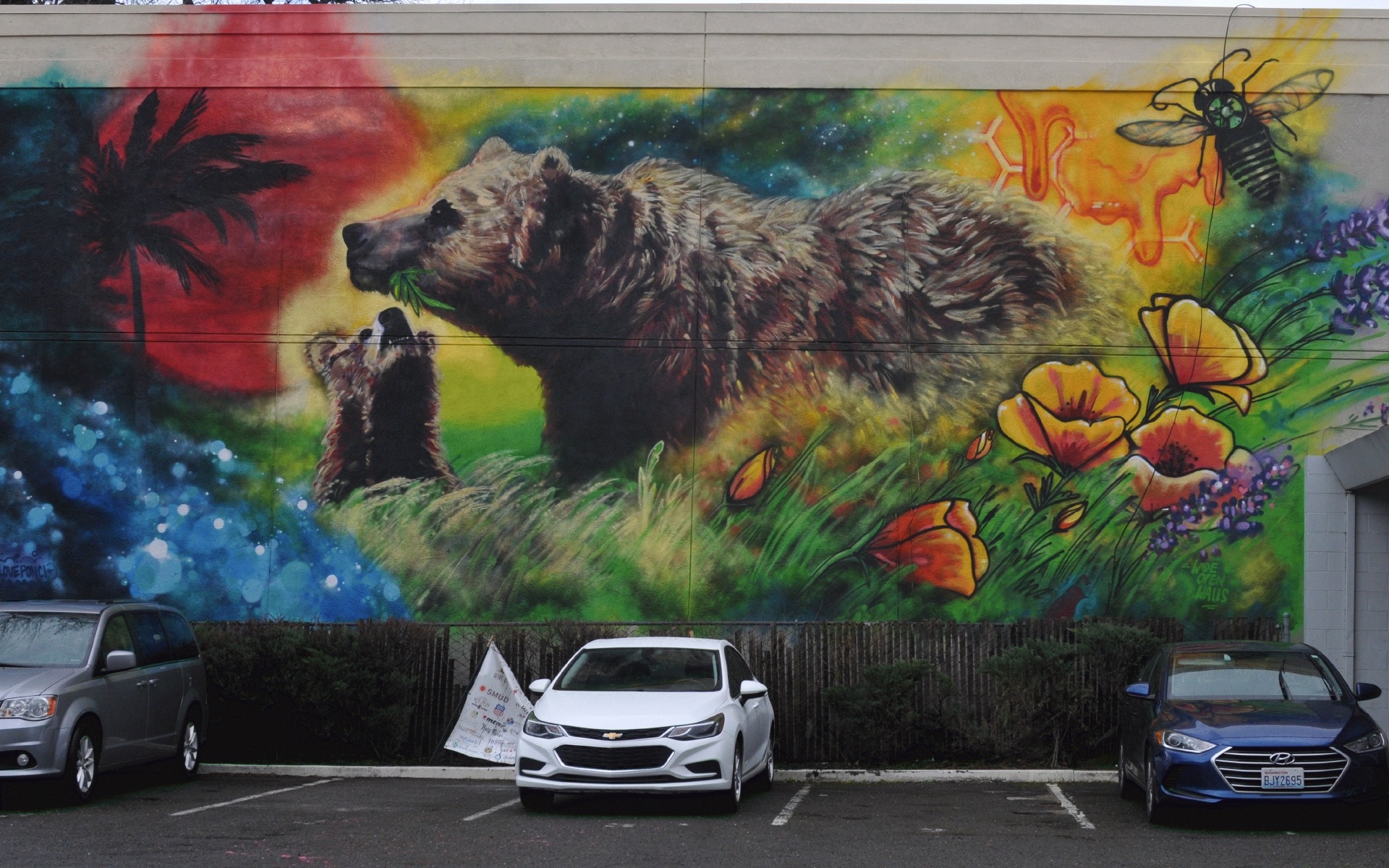 ./Summer_Bears_Mural_2018_by_Jenn_Ponci_20190227_133152_C19_1844.jpg