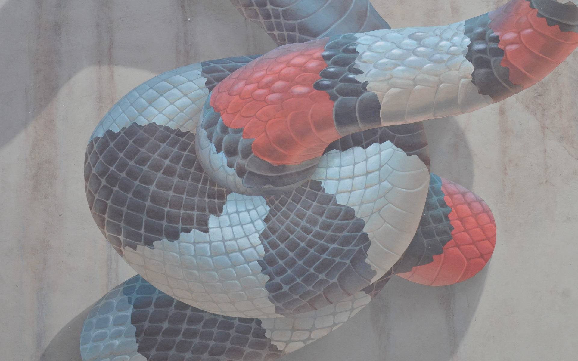 ./3D_California_King_Snake_Mural_by_John_Pugh_Sacramento_California_20190227_121818_C19_1676.jpg