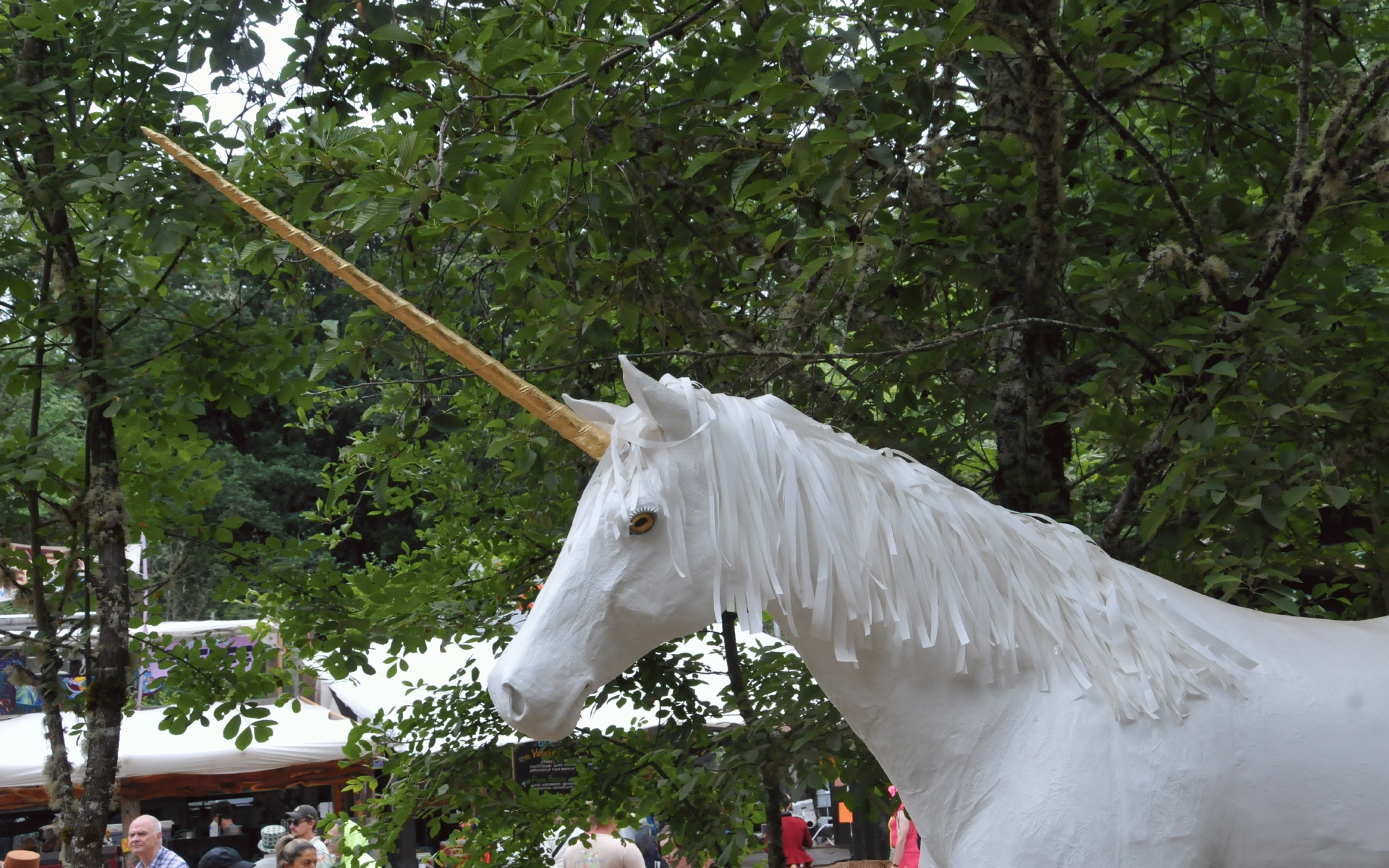 ./Aurara_Rainbow_Sparkles_Oregon_Coutry_Fair_20230708_113328_C23_0623.jpg