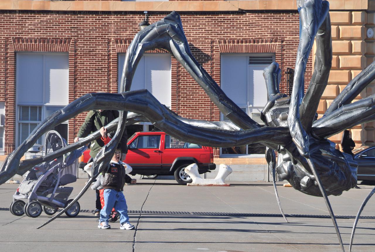 ./CrouchingSpiderLouisBourgeoisSF20090126_09_8667BCX.jpg