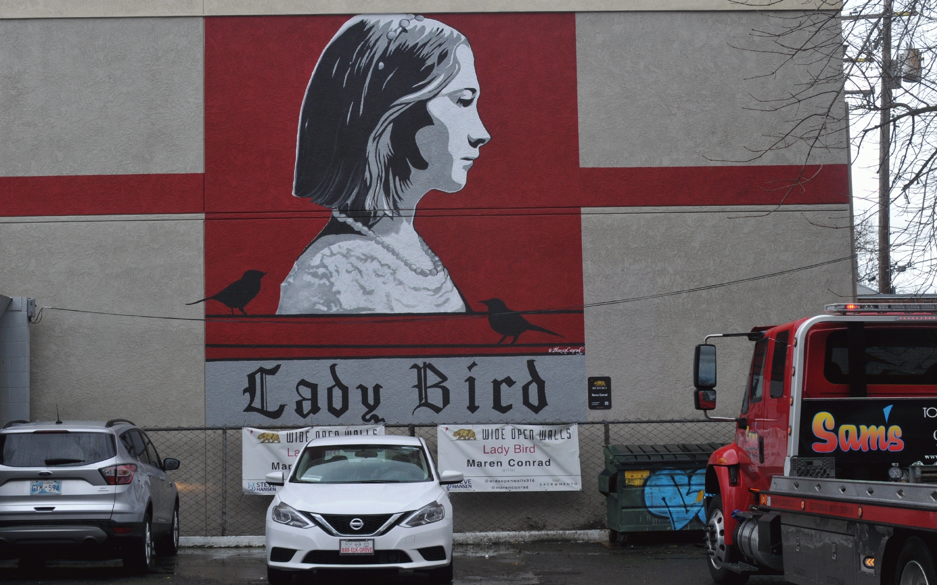 ./Lady_Bird_Mural_2018_by_Maren_Conrad_20190227_133029_C19_1837.jpg