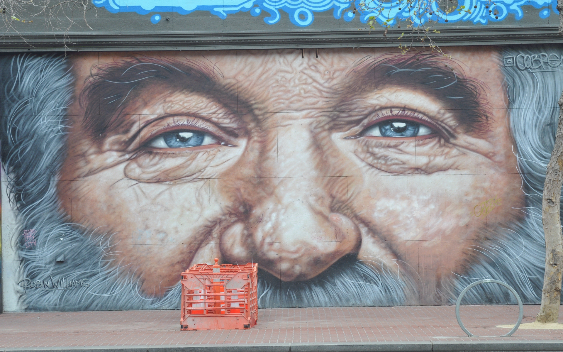 ./Robin_Williams_by_Andres_Iglesias_Market_Street_San_Francisco_20199224_104336_C19_1381.jpg