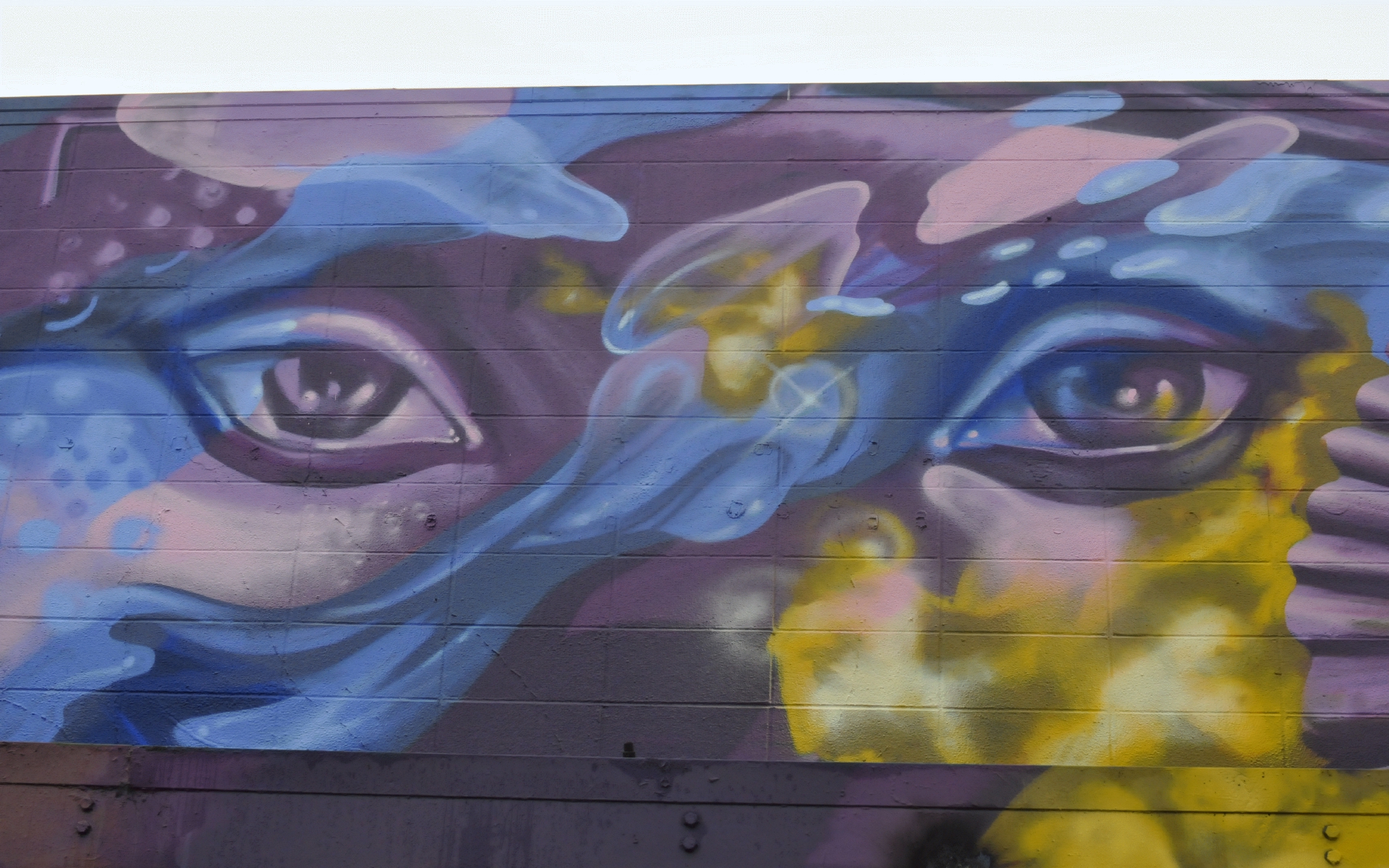 ./The-Seer_Mural_2019_by_Rachel_Wolf-Goldsmith_and_NattyRebel_20190302_104423_C19_2413.jpg