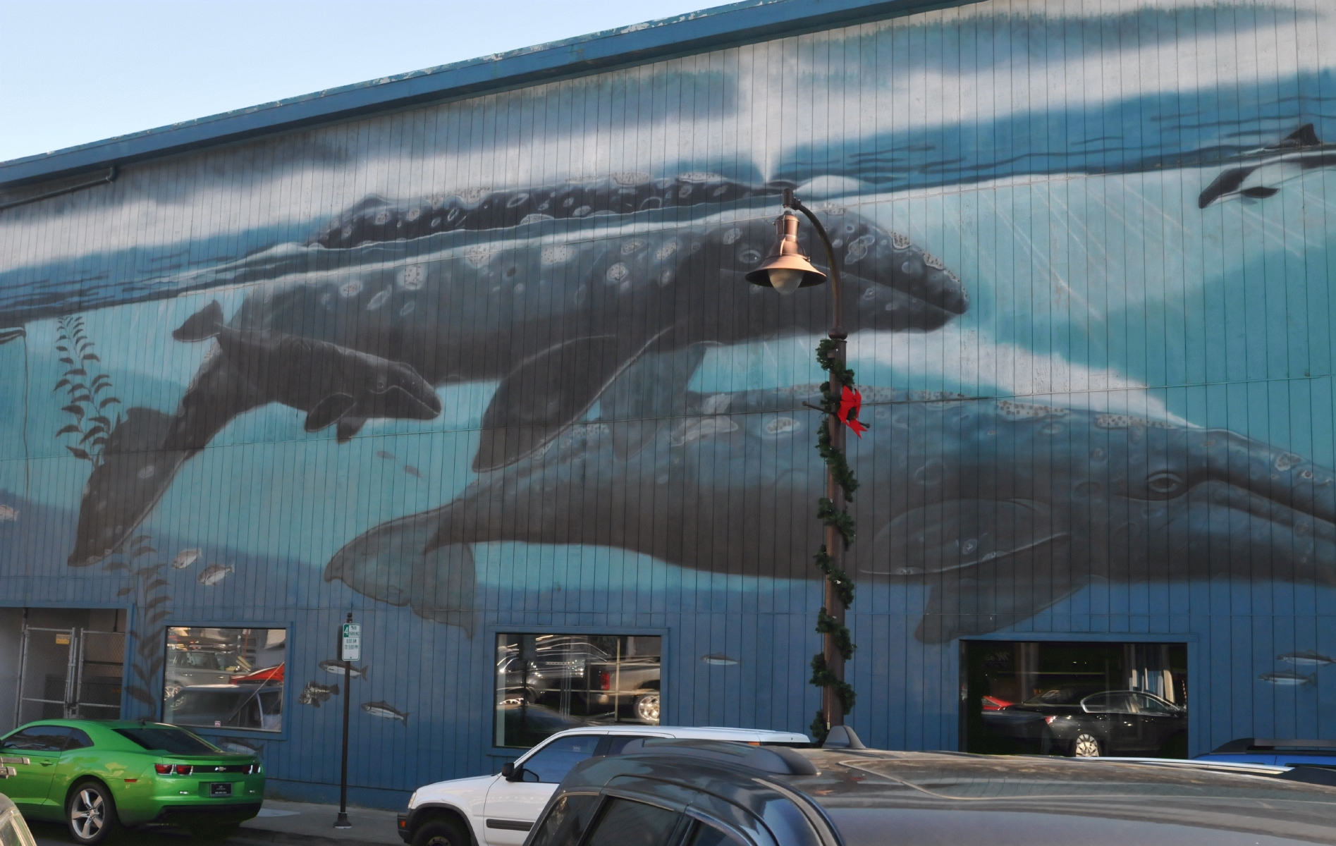 ./Rick_Chambers_Newport_Oregon_Murals_20160101_123933_C16_5750.jpg