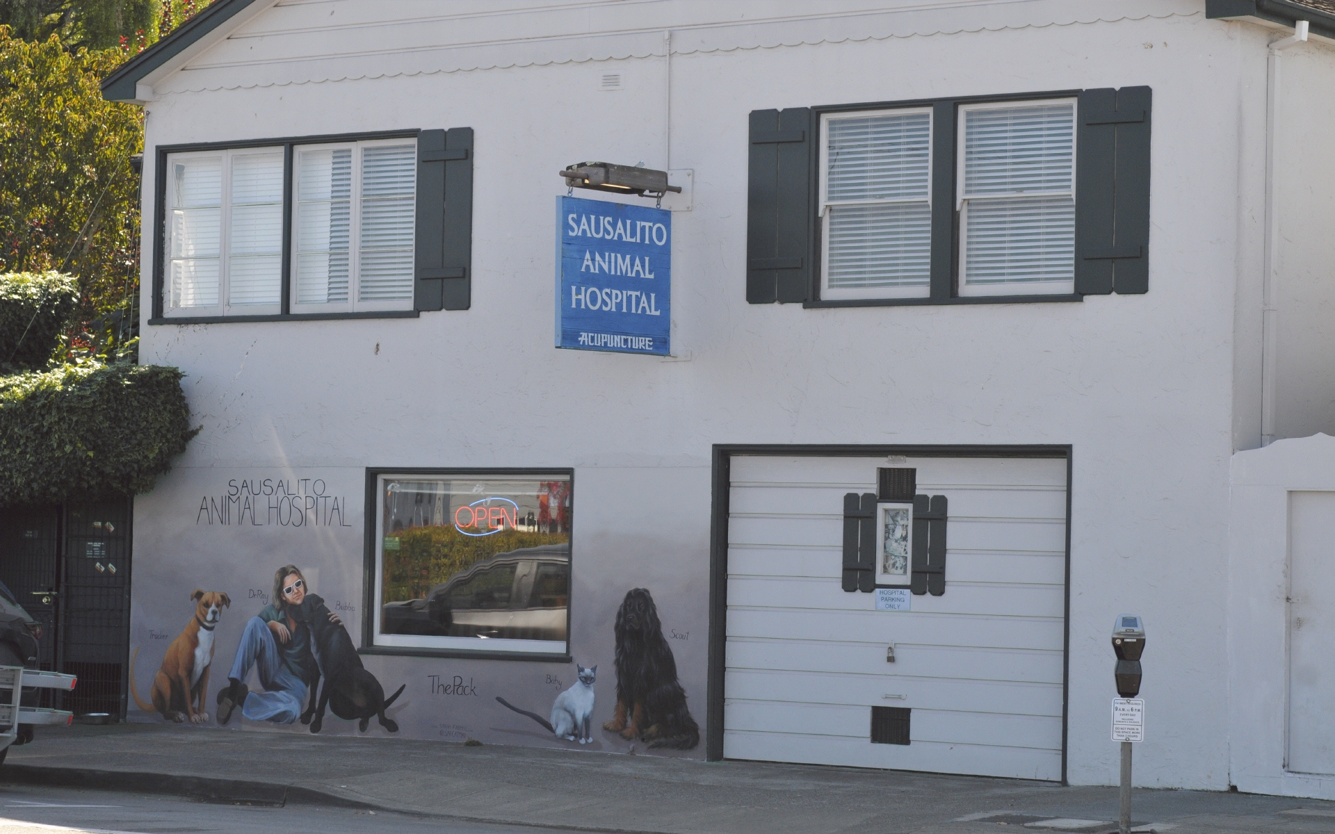 ./Sausalito_Animal_Hospital_Mural_20191015_131642_C19_4615.jpg