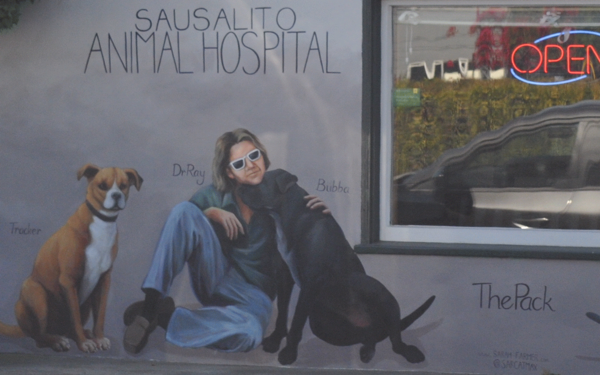 ./Sausalito_Animal_Hospital_Mural_20191015_131647_C19_4616.jpg