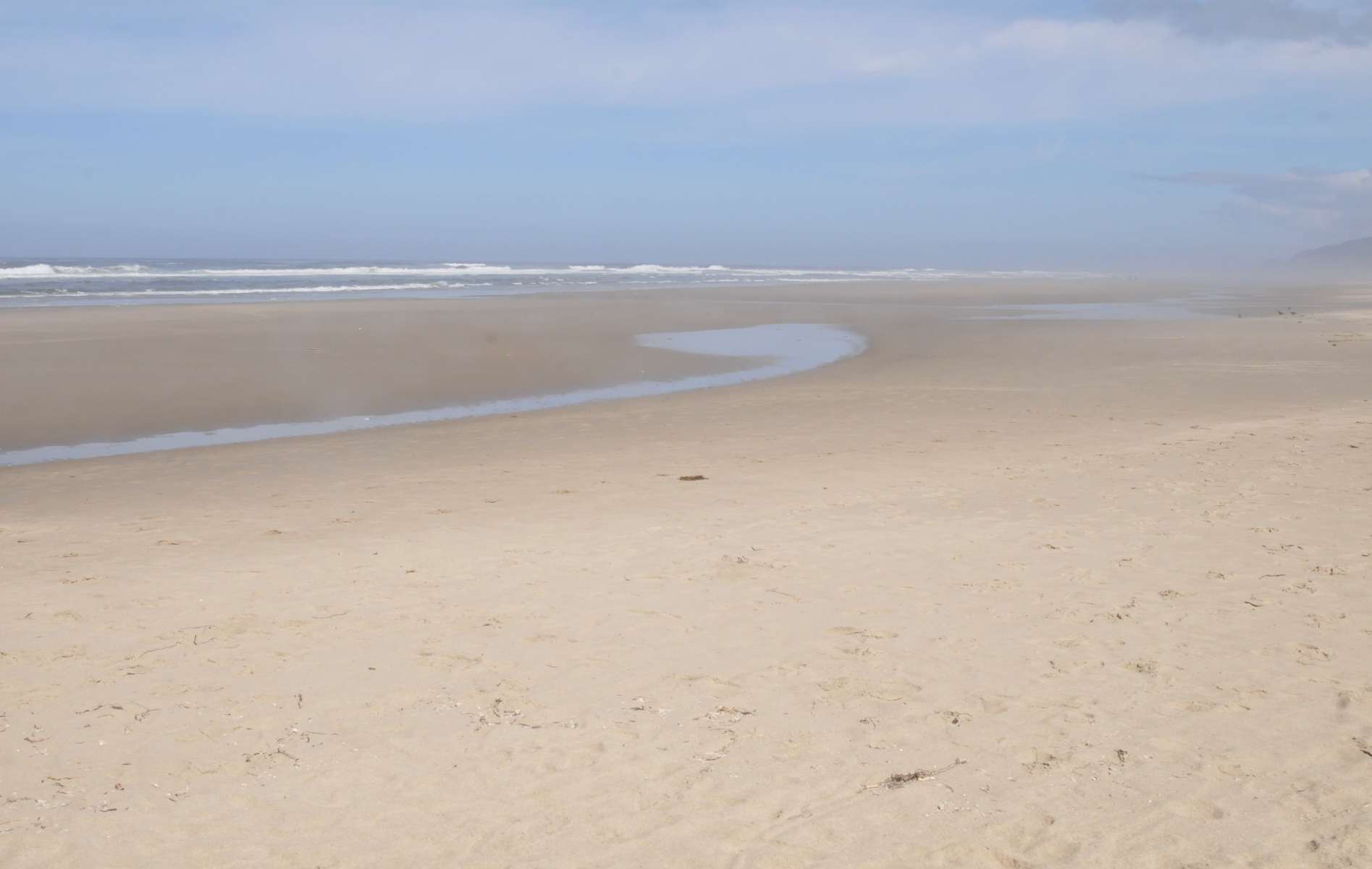 ./Letter_Comma_20160907_113501_Heceta_Beach_C16_9413.jpg