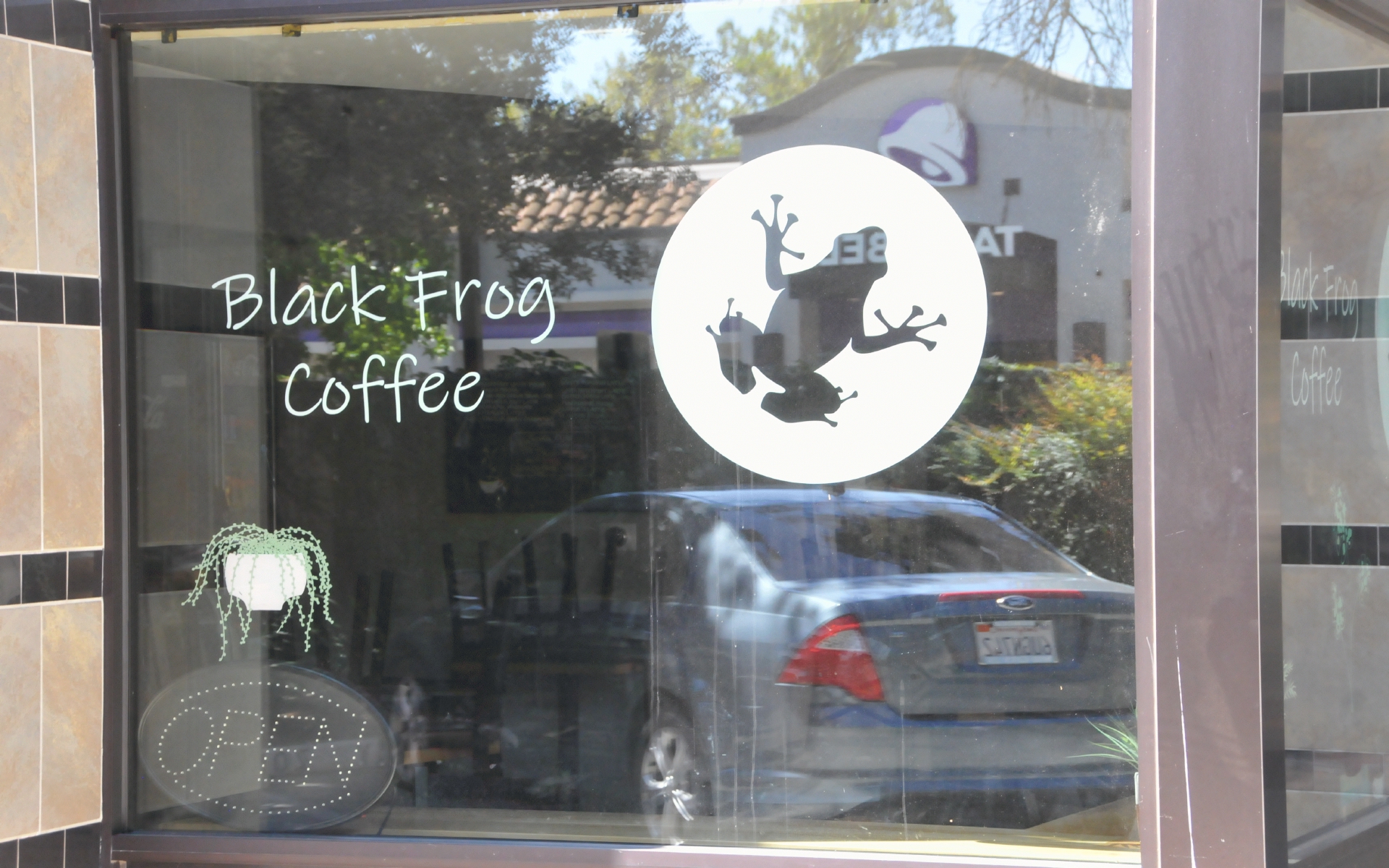 ./Black_Frog_Coffee_Window_Art_20220808_150304.jpg