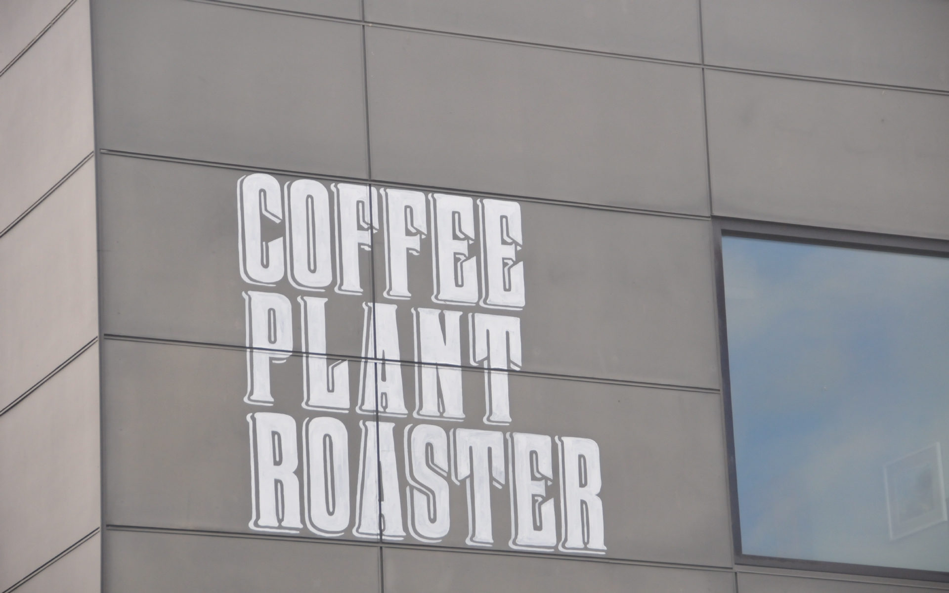 ./Coffee_Plant_Roster_20240524_093456_C24_0086.jpg