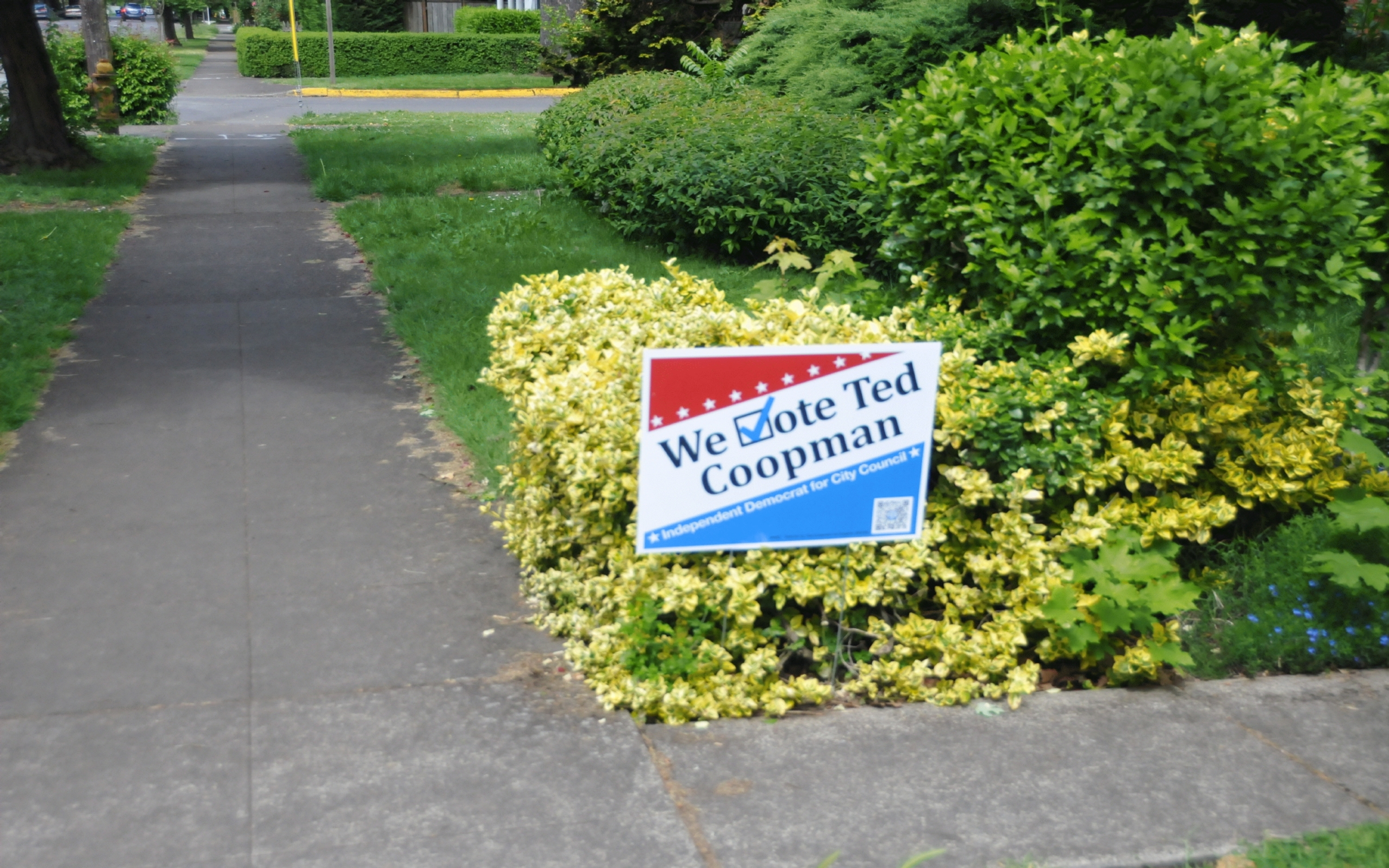 ./Election_Sign_20240523_104912_C24_0143.jpg