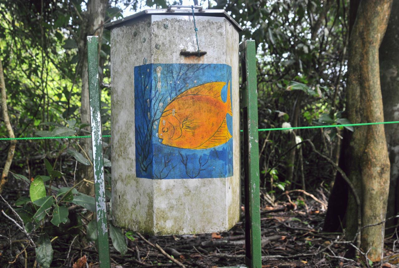 ./Art_Trashcan_20080917_202150_ManuelAntonioNationalParkCostaRica_5450BCX.jpg