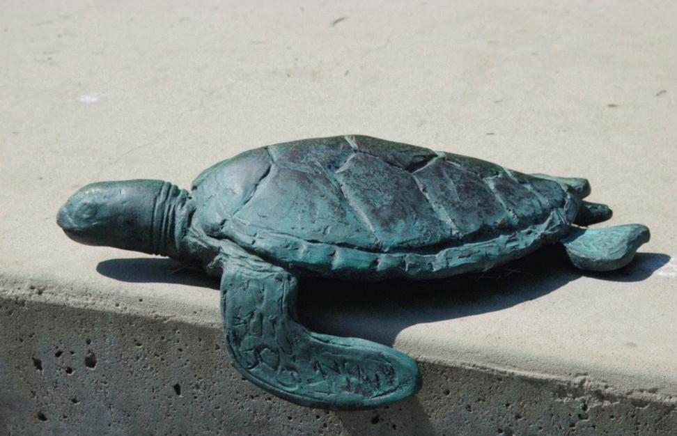 ./Turtle2006_01.jpg