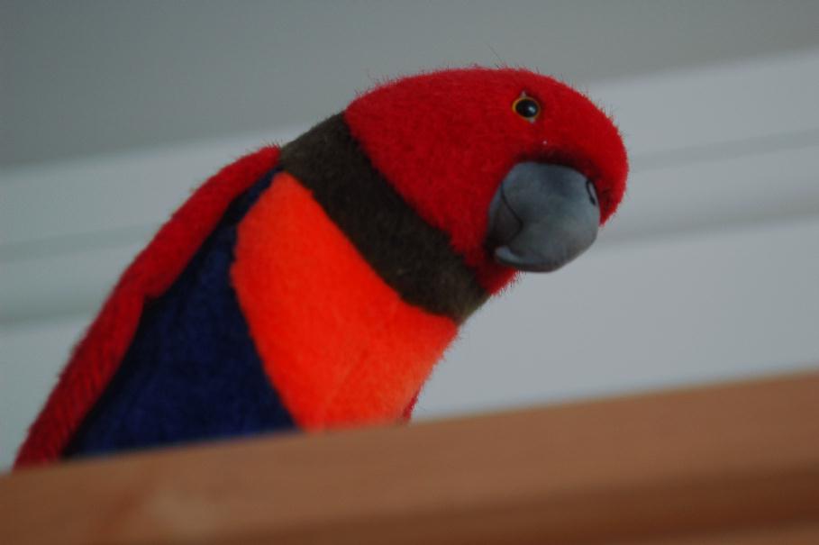 ./Artificial_Bird_20060000_Parrot_01.jpg