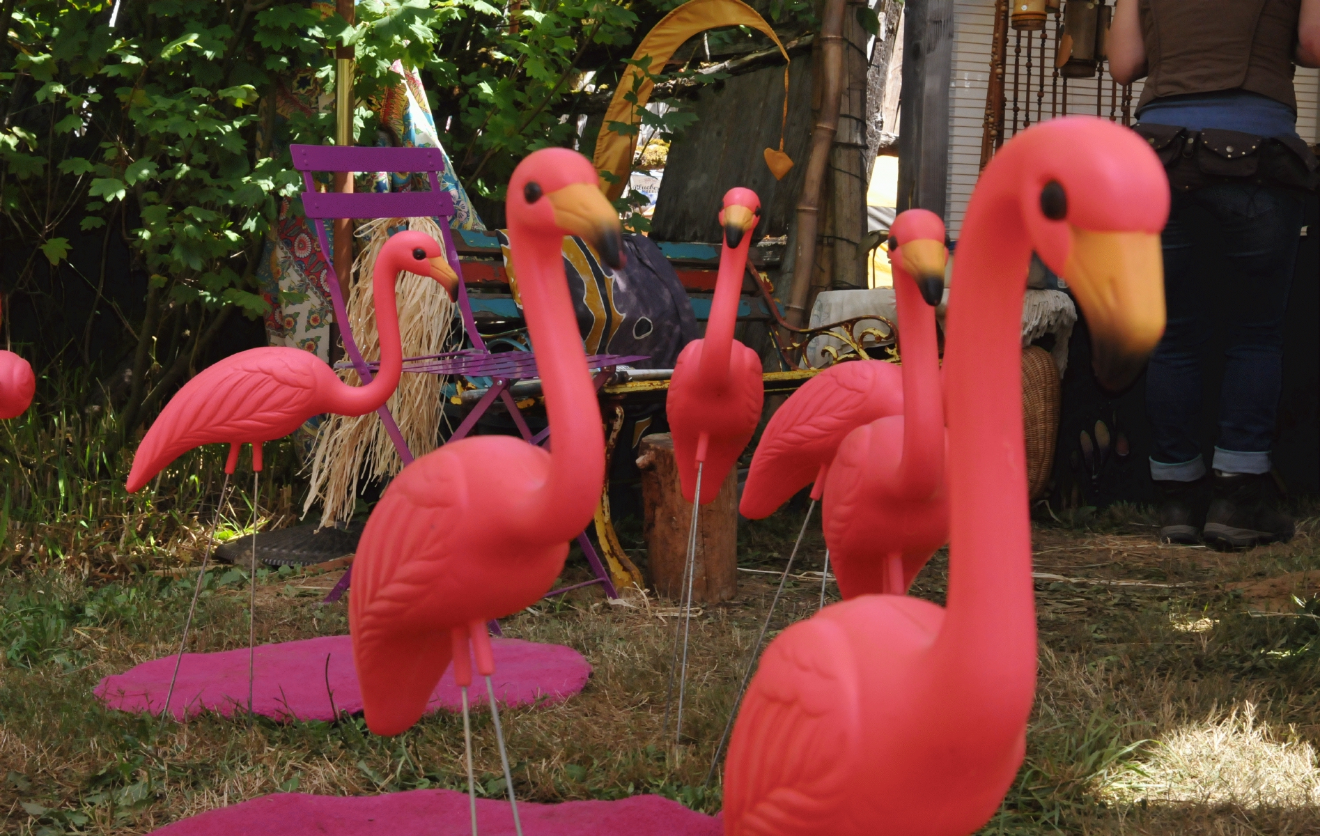 ./Artificial_Flamingo_20160709_115647_Oregon_Country_Fair_C16_8049.jpg