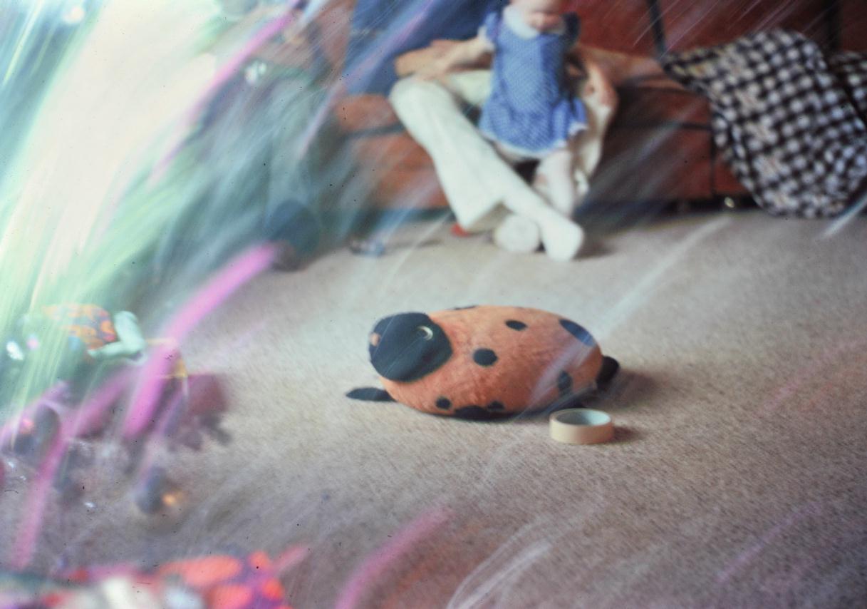 ./Artificial_Ladybug_1973_200903_BCXTS_0367.jpg