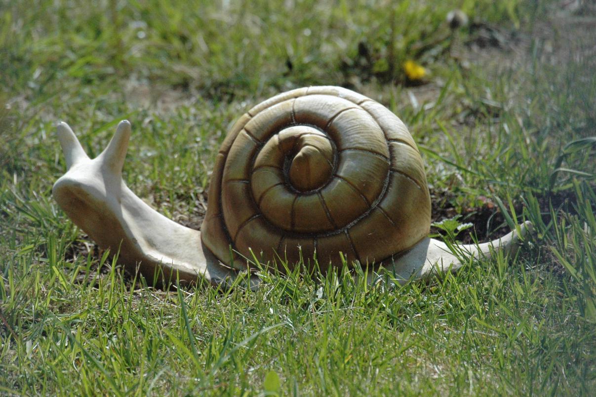 ./Artificial_Snail_20070000_France_Jouarres_14.jpg