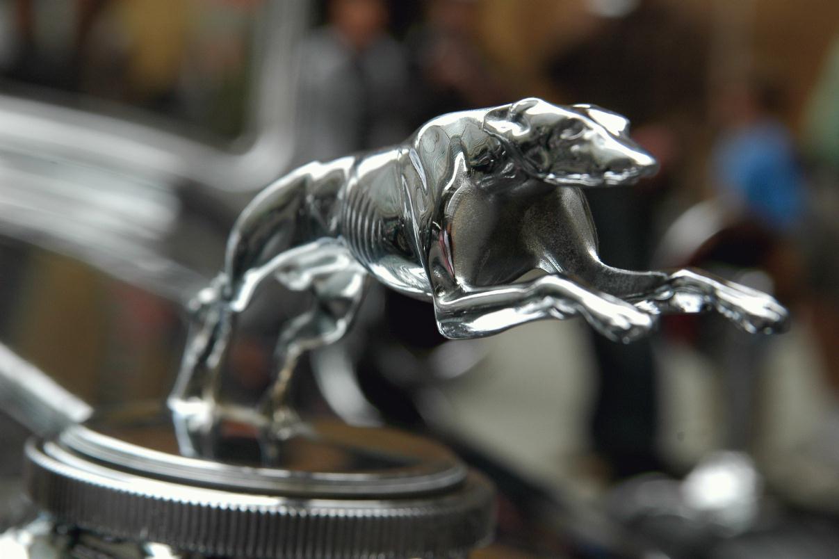 ./FakeCanine20070000_DogHoodOrnament_01.jpg