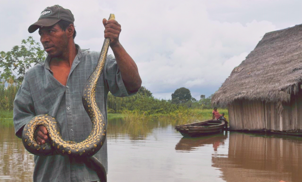 ./Python_20090406_164150_AmazonPeru_2402BCX.jpg