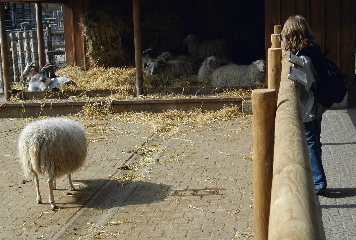 ./ZooStuttgartGermany2008_28_1200B.jpg