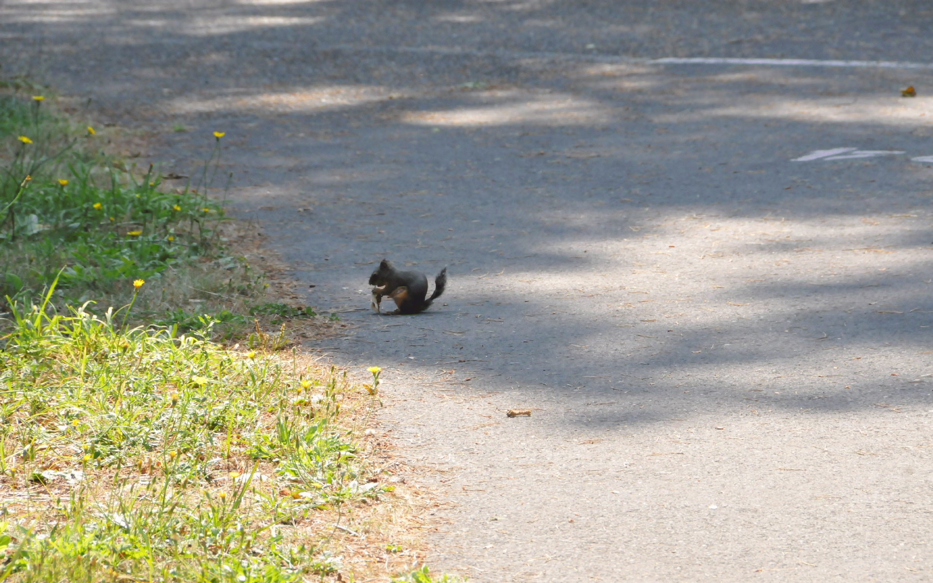 ./Squirrel_Lagoon_Campground_20230815_151500_C23_1171.jpg