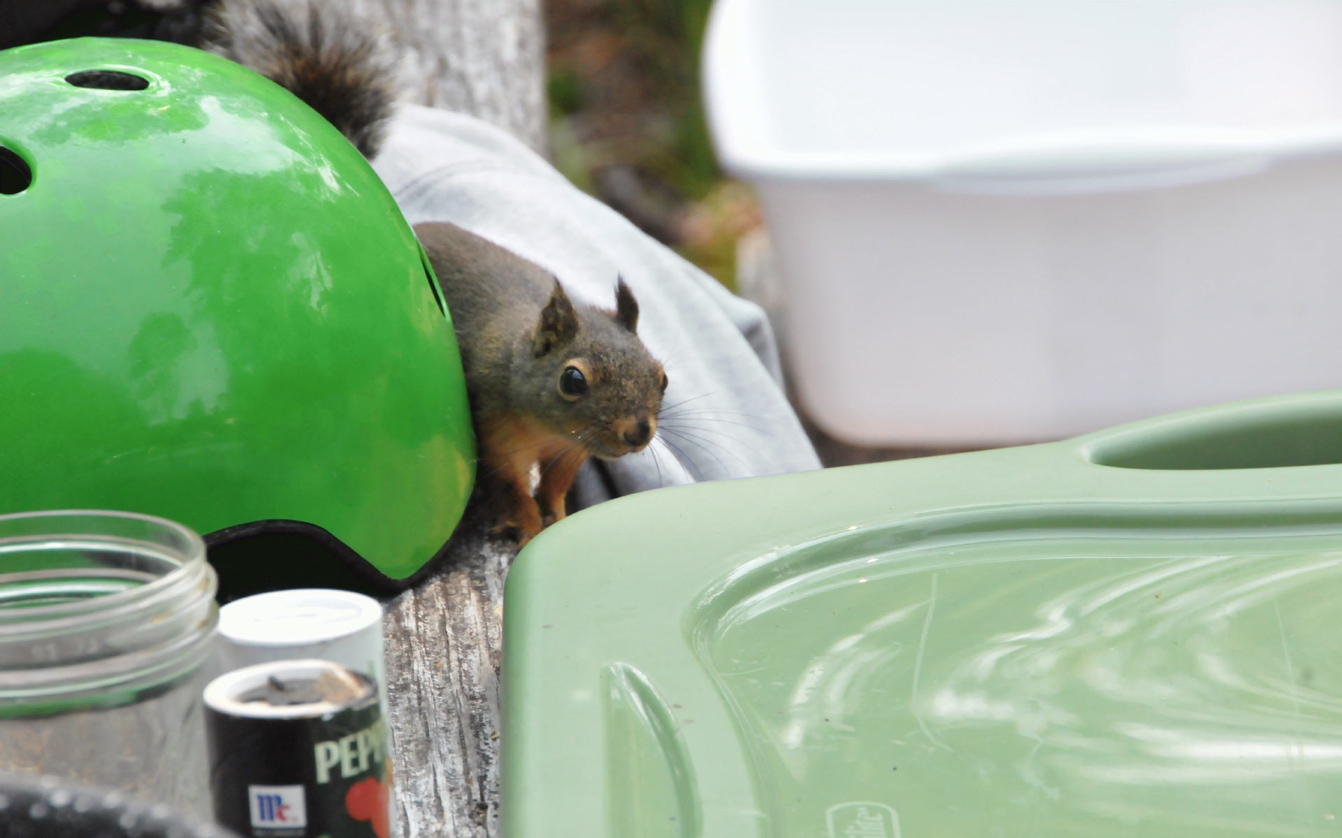 ./Squirrel_Lagoon_Campground_20230815_151638_C23_1172.jpg