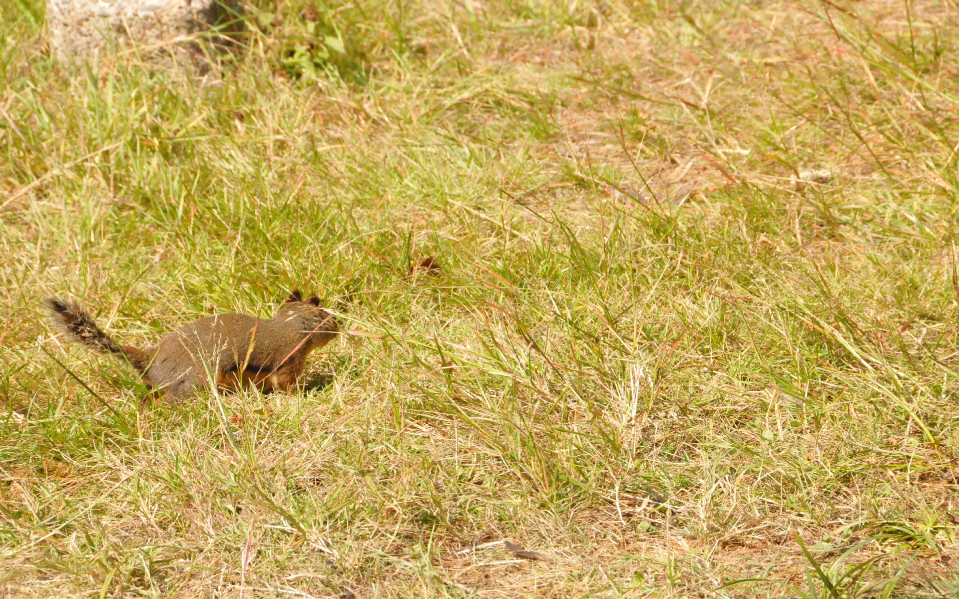 ./Squirrel_Lagoon_Campground_20230815_151722_C23_1186.jpg