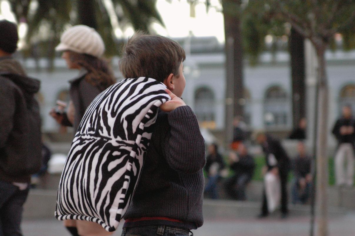 ./Zebra_Artificial_20080213_164104_PillowValentineFight_DSC_0425T.jpg