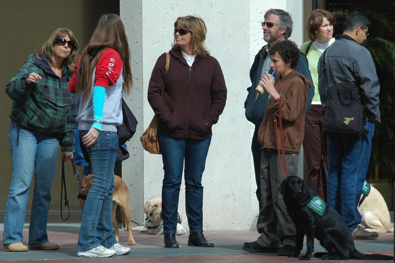 ./WorkingDog20080315_102358_GuidDogInTrainingMainMarketSF_1310B.jpg