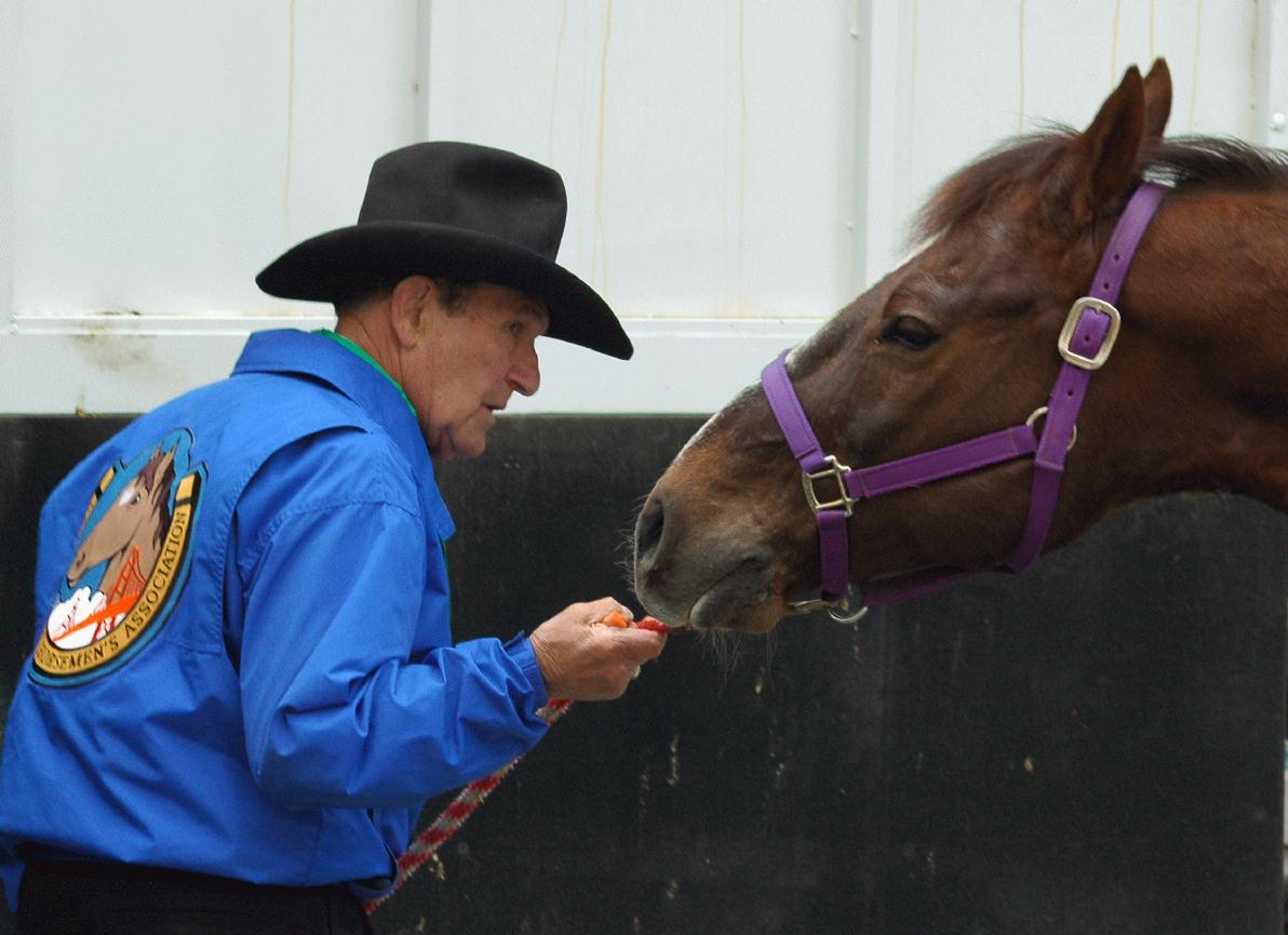 ./ParadeHorseStPats2008_1411B.jpg