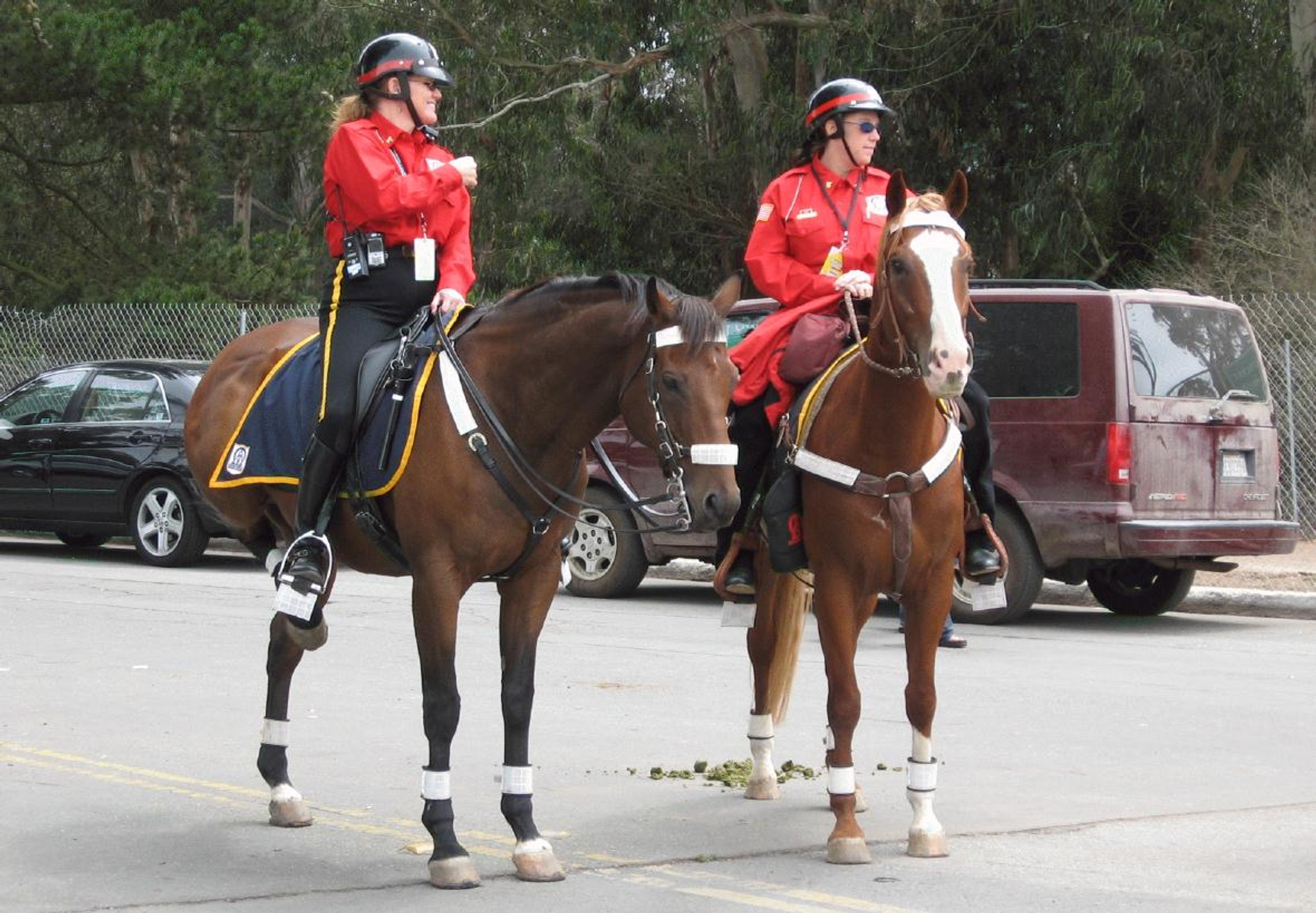 ./PoliceHorsesOutsideLandsGGPark20080823_0735BCX.jpg