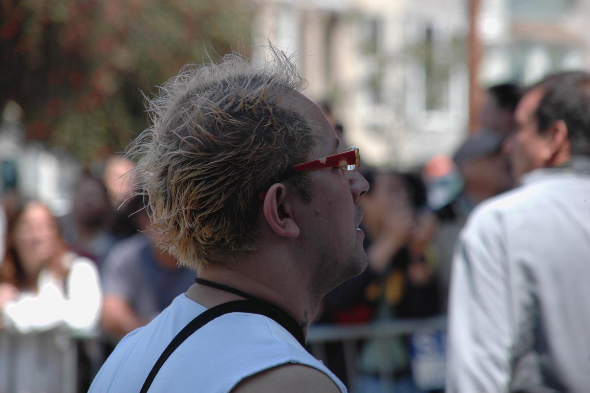 ./HairCarnivalParade2008_2634T.jpg