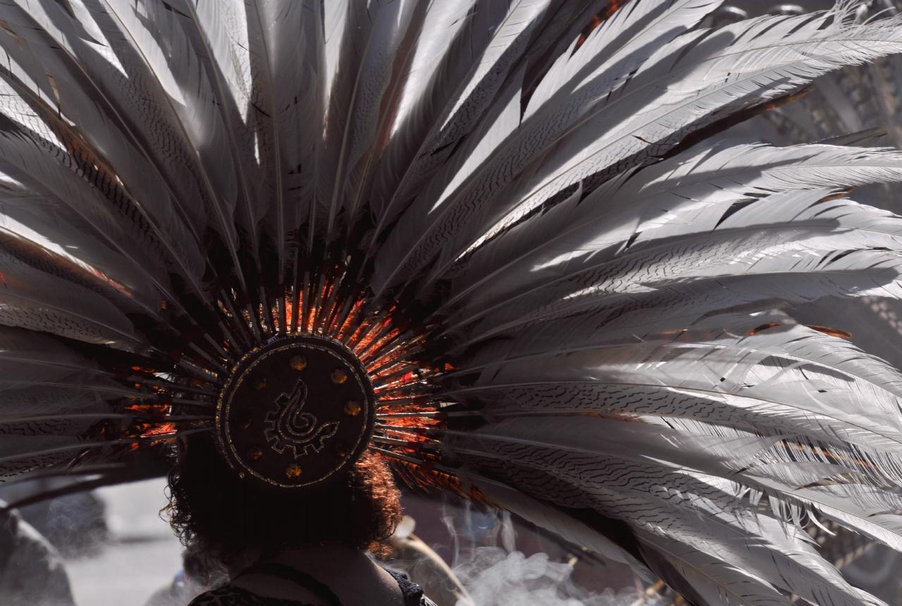 ./Feather_Hat_20110529_090156_Carnival_Parade_San_Francisco_B11_4322.jpg