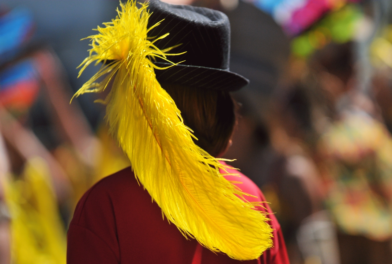 ./Feather_Hat_20111029_112807_Carnival_Parade_San_Francisco_B11_4939.jpg