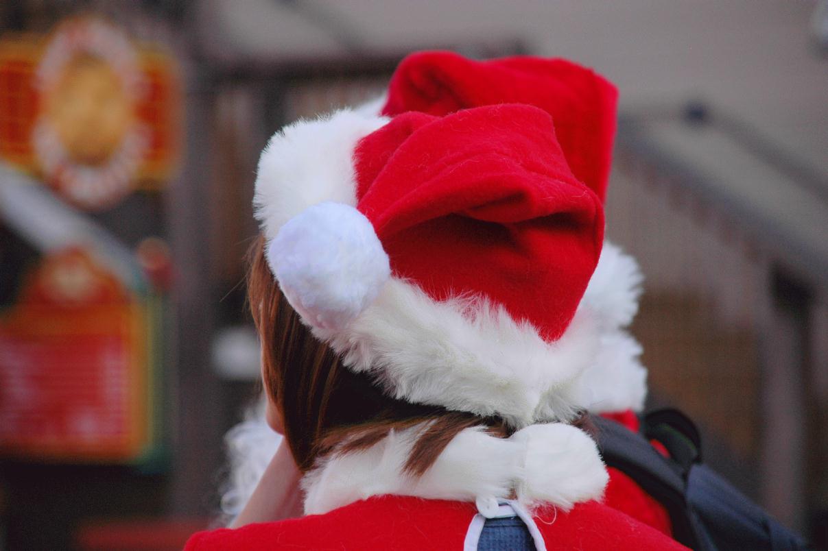 ./SantaHatSantarchy2007_0089T.jpg