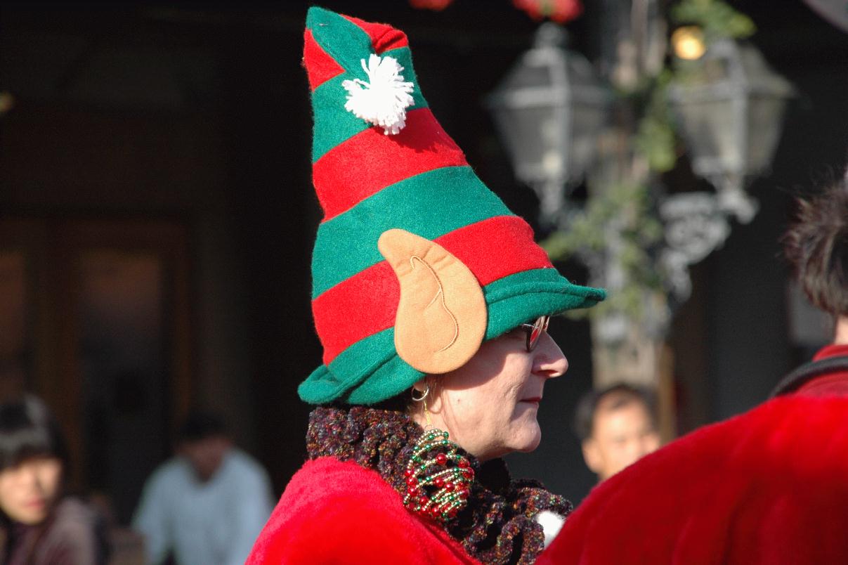 ./SantaHatSantarchy2007_0164T.jpg