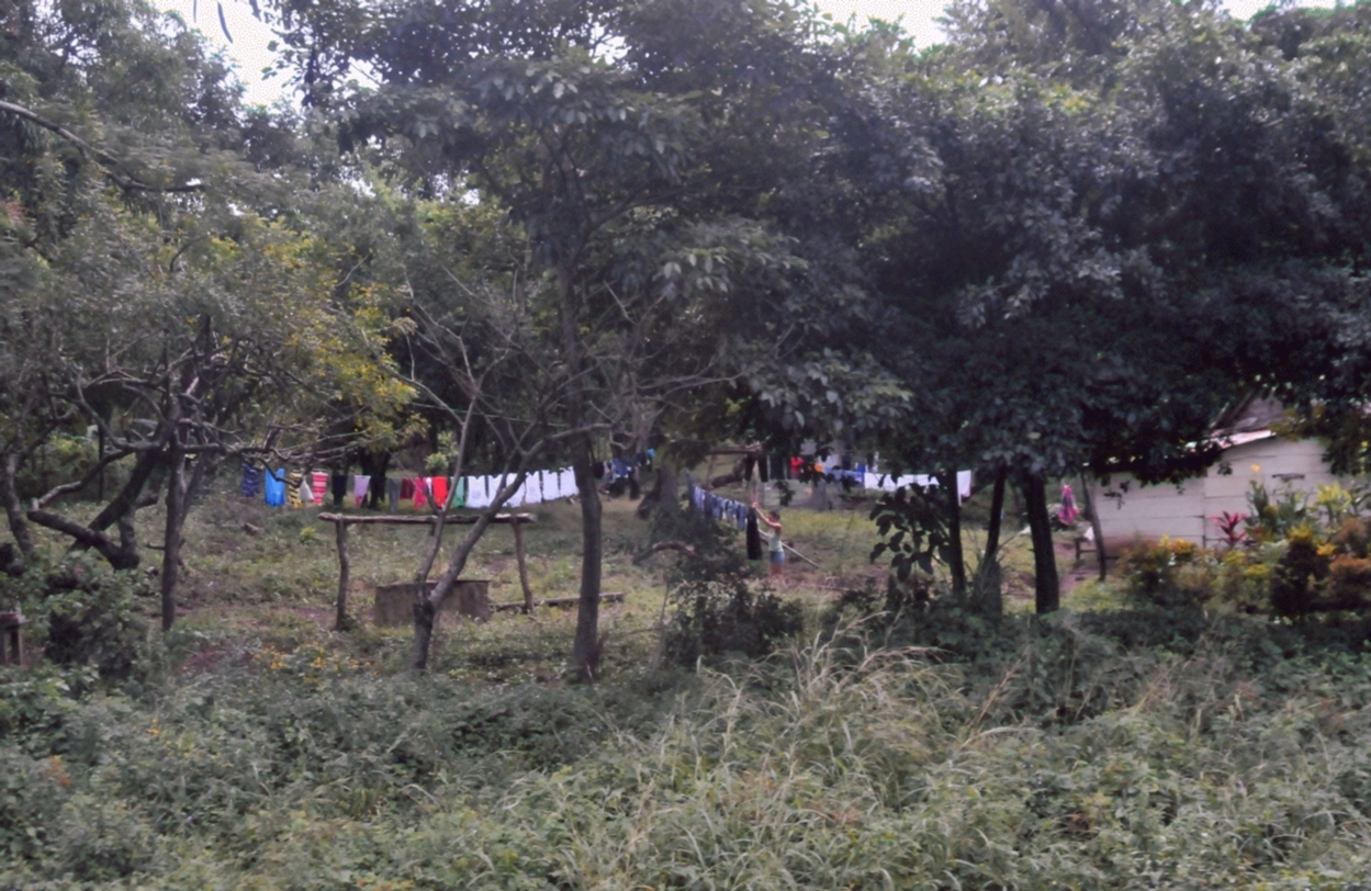 ./Hung_Laundry_20111120_105625_On_Road_To_San_Juan_Del_Sur_Nicaragua_B12_2231.jpg